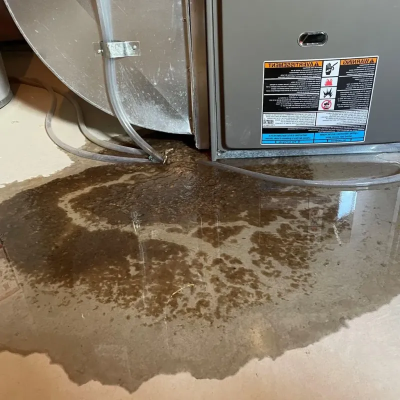 Pipe Burst and Leak Restoration in Whitwell, TN