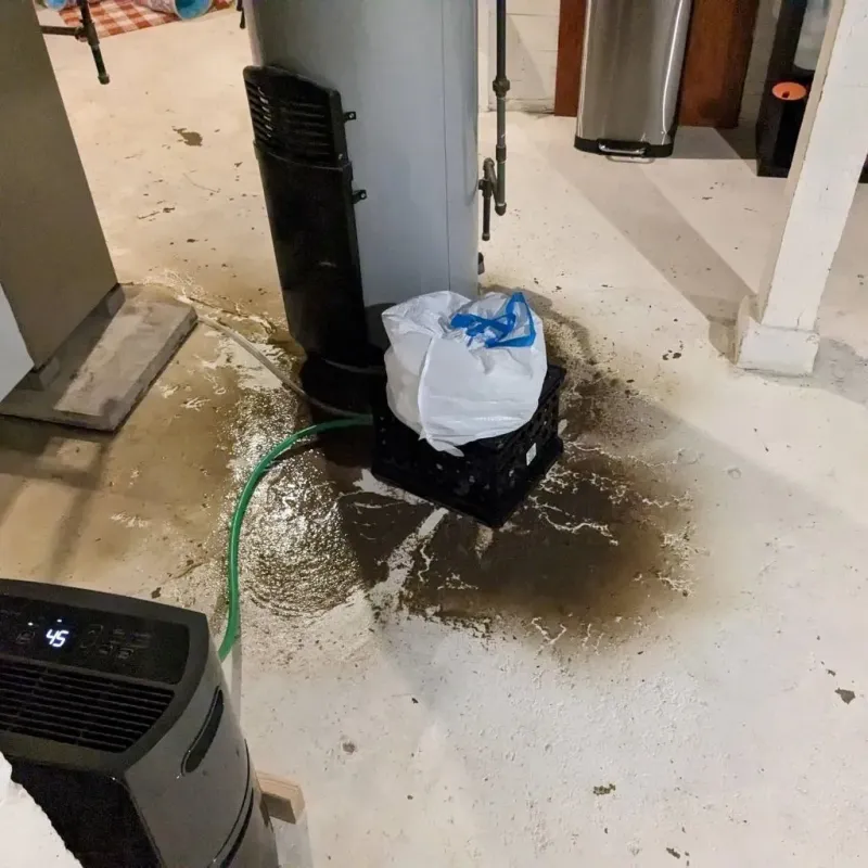 Sewage Backup Cleanup Service in Whitwell, TN